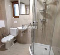 Badezimmer in einem Einzimmerapartment mit Toilette, Waschbecken und Duschkabine.