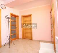 Holztüren und Garderobe im Flur einer 2-Zimmer-Wohnung.