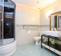 Badezimmer mit Dusche und Waschbecken in einer 2-Zimmer-Wohnung.