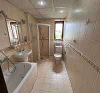 Badezimmer in einer 2-Zimmer-Wohnung mit Badewanne, Dusche, Waschbecken und Toilette.
