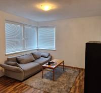 Wohnzimmer in einer 2-Zimmer-Wohnung mit Sofa, Tisch und Teppich auf Holzboden.