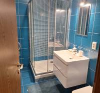 Badezimmer mit blauen Fliesen und Duschkabine in einer 2-Zimmer-Wohnung.