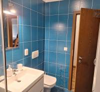 Badezimmer mit Dusche, Waschbecken und blauen Fliesen in einer 2-Zimmer-Wohnung.