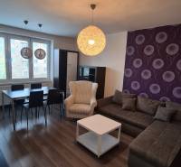 Wohnzimmer in einer Zweizimmerwohnung mit Sofa, Sessel und Esstisch.
