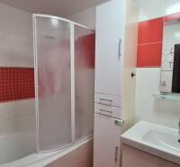 Badezimmer in einer 2-Zimmer-Wohnung mit Duschkabine und Waschbecken, rote Akzente.