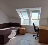 Ein Dachzimmer in einem Einfamilienhaus mit einem ausziehbaren Sofa, einem Tisch und einem Schreibtisch.