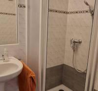 Ein Badezimmer in einem Einfamilienhaus mit Waschbecken und Duschkabine.