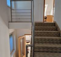 Eine Treppe mit Teppich und Geländer in einem Einfamilienhaus, die Räume schaffen eine gemütliche Atmosphäre.