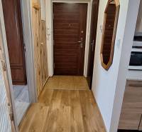 Eingangsbereich in einer 3-Zimmer-Wohnung mit Holzverkleidung und Holzboden.