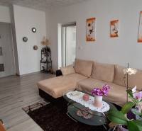 Wohnzimmer einer 3-Zimmer-Wohnung mit Sofa, Dekorationen und Holztüren.