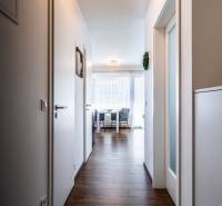 Der Flur, der ins Wohnzimmer einer Zweizimmerwohnung führt, mit Holzboden und weißen Wänden.