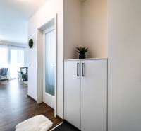 Der Eingangsbereich führt in das Wohnzimmer, 2-Zimmer-Wohnung, helles Interieur.