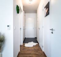 Der Flur in der 2-Zimmer-Wohnung mit Holzboden, weißen Wänden und dekorativen Elementen.