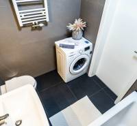 Badezimmer mit Dusche, Waschbecken, Waschmaschine und dekorativer Pflanze in einer 2-Zimmer-Wohnung.
