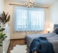Schlafzimmer in einer 2-Zimmer-Wohnung mit Bett, Lampe und dekorativen Pflanzen.