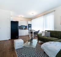 Wohnzimmer in einer Zweizimmerwohnung mit einem bequemen Sofa und hellen Wänden.