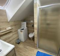 Badezimmer in einem Einfamilienhaus mit Duschkabine, Waschmaschine und Holzverkleidung an den Wänden.