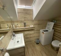 Ein Badezimmer in einem Einfamilienhaus mit Waschbecken, Waschmaschine und Toilette in hellen Holztönen.