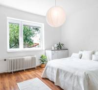 Helles Zimmer mit Bett, Pflanzen und Fenster in einer 2-Zimmer-Wohnung.