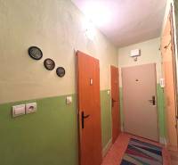 Der Flur in einer 3-Zimmer-Wohnung mit bunten Wänden und hängenden Dekorationselementen.