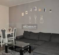 Wohnzimmer mit grauem Sofa und Esstisch in einer 3-Zimmer-Wohnung.