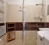 Badezimmer in einer 2-Zimmer-Wohnung mit verglaster Duschkabine, Waschbecken und Regal.
