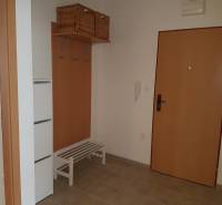 Diele mit Schuhschrank und Garderobe in einer 2-Zimmer-Wohnung.