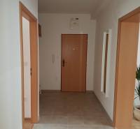 Eingangsbereich mit Zimmertüren und einer Pflanze in einer 2-Zimmer-Wohnung.