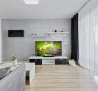Wohnzimmer in einer 2-Zimmer-Wohnung mit Fernseher, grauer Wand und Holzboden.