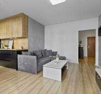 Stilvolles Wohnzimmer in einer 2-Zimmer-Wohnung mit Küche, Holzboden und Sofa.
