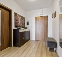 Diele in einer 2-Zimmer-Wohnung mit Eingangstür, Kleiderschrank und Wanddekoration.