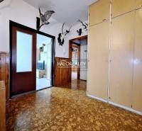 Eingangsbereich in einer 3-Zimmer-Wohnung mit Holzverkleidung, Kleiderhaken und Einbauschränken.