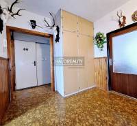 Ein Flur mit Holzvertäfelung, Schränken und Trophäen in einer 3-Zimmer-Wohnung.