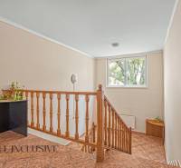 Innenraum eines Büros mit Treppe, Geländer, Fenster und Pflanze auf einem Eckschrank.