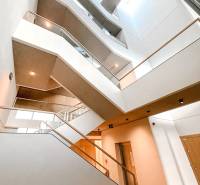 Eine breite Treppe mit beleuchtetem Deckenfenster in einer 4-Zimmer-Wohnung, mit Holz- und Glaselementen.