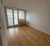 Ein Zimmer in einer 2-Zimmer-Wohnung mit Parkettboden und einem großen Fenster mit Aussicht.
