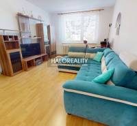 Wohnzimmer in einer 3-Zimmer-Wohnung mit Holzboden und türkisfarbenem Sofa.