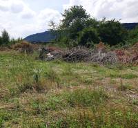 Grundstücke - Gewerbe in Trenčianske Bohuslavice, mit wilder Vegetation und Haufen von Ästen.