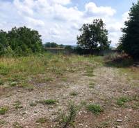 Grundstück in Trenčianske Bohuslavice mit Büschen und Bäumen im Hintergrund. Grundstücke - Gewerbe.