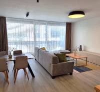 Wohnzimmer einer 3-Zimmer-Wohnung mit Esstisch, Sofa und großen Fenstern.