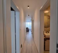 Flur mit Holzboden in einer 3-Zimmer-Wohnung, mit Blick ins Wohnzimmer.