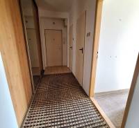 Der Flur in einer 2-Zimmer-Wohnung mit gemustertem Teppich und Einbauschrank.