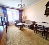 Wohnzimmer in einer 2-Zimmer-Wohnung mit einer Couchgarnitur, einem Tisch und einer antiken Uhr an der Wand.