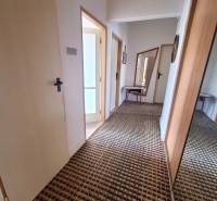 Flur in einer 2-Zimmer-Wohnung mit Teppich, Spiegel und Tisch.