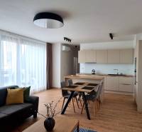 Wohnzimmer mit Küche in einer 3-Zimmer-Wohnung, eingerichtet mit Holzmöbeln und einem grauen Sofa.