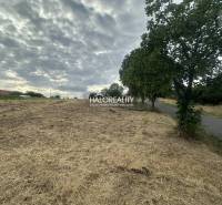 Grundstücke - Wohnen in Rybník, Gras, Bäume, Straße, bewölkter Himmel, ruhige Lage.