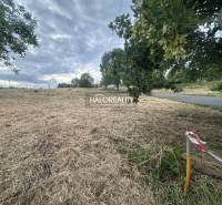 Grundstück in Rybník zum Wohnen, Grasfläche an der Straße, von Bäumen umgeben.