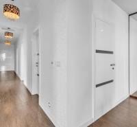 Flur einer 4-Zimmer-Wohnung mit einem Spiegelschrank und Holzboden.