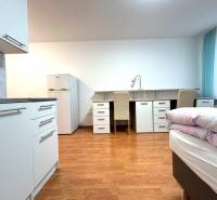 Ein Studio-Apartment mit hellem Interieur, Küchenzeile, Tisch, zwei Stühlen und einem Bett.