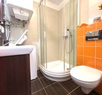 Badezimmer in einem Einzimmerapartment mit Toilette, Duschkabine und orangefarbenen Fliesen.
